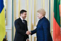 Грибаускайте призвала Зеленского "раздавить олигархическую систему" в Украине