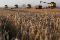 В офшорах "засело" $1,5 миллиарда от экспорта украинского зерна, - исследование