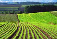 В Украине внесли в кадастр сведения о 30,4 млн га сельскохозяйственных земель