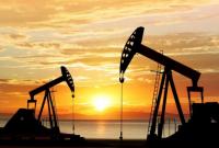Украина за год увеличила добычу нефти
