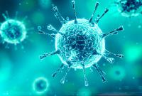 Количество вылеченных от коронавируса превышает количество смертей