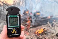 Пожары в Чорнобилський зоне: радиационный фон не превышает норму