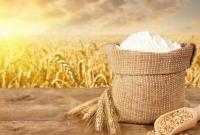 Україна зменшила експорт зернових культур