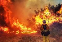 В Україні у 2021 році на пожежну безпеки у лісах планують виділити 2 млрд грн