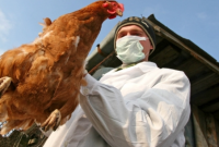На Миколаївщині підтверджено новий випадок пташиного грипу