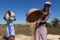 На фоне пандемии 27 странам угрожает продовольственный кризис