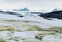 Ученые проиллюстрировали глобальные климатические изменения фото зеленой Антарктиды