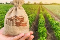 В Уряді оприлюднили суму держкомпенсації фермерам на покупку землі у 2021 році