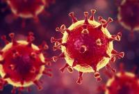 Пандемія: кількість інфікованих COVID-19 у світі понад 26 млн