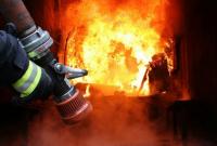 Украина готова направить 200 спасателей на помощь пожарным Австралии