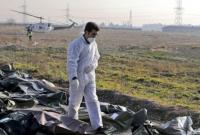 Дипломат назвал дальнейшие шаги Украины по расследованию авиакатастрофы в Иране