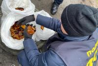 В Ровенской области главу сельсовета задержали за незаконную перевозку 30 килограмм янтаря