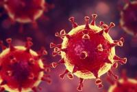 ВООЗ не виключає, що коронавірус таки «втік» з лабораторії