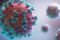 В Україні зафіксували рекордну кількість нових випадків коронавірусу. За добу його виявили у 16 669 людей