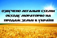 Озвучено легальні схеми обходу мораторію на продаж землі в Україні
