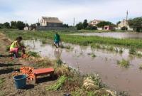 На западе Украины на водоемах ожидается подъем уровня воды