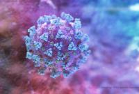 Вчені порахували, що жертвами коронавірусу в кращому випадку стануть 15 мільйонів осіб