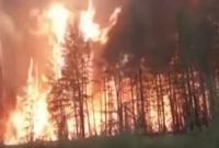 Лісові пожежі у французькій Рив'єрі охопили шість гектарів лісу