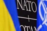 Кристина Квин сказала, когда Украина станет членом НАТО